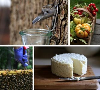 Self-reliance and Simplicity: Weird or Interesting? Image